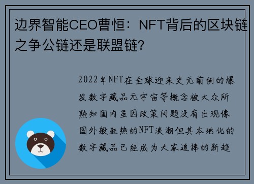 边界智能CEO曹恒：NFT背后的区块链之争公链还是联盟链？